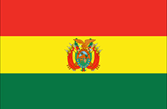 Bandiera Bolivia Bandiera Bolivia
