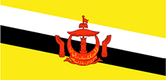 Bandiera Brunei Bandiera Brunei