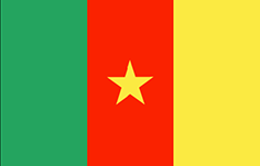 Bandiera Camerun - Mobile MTN